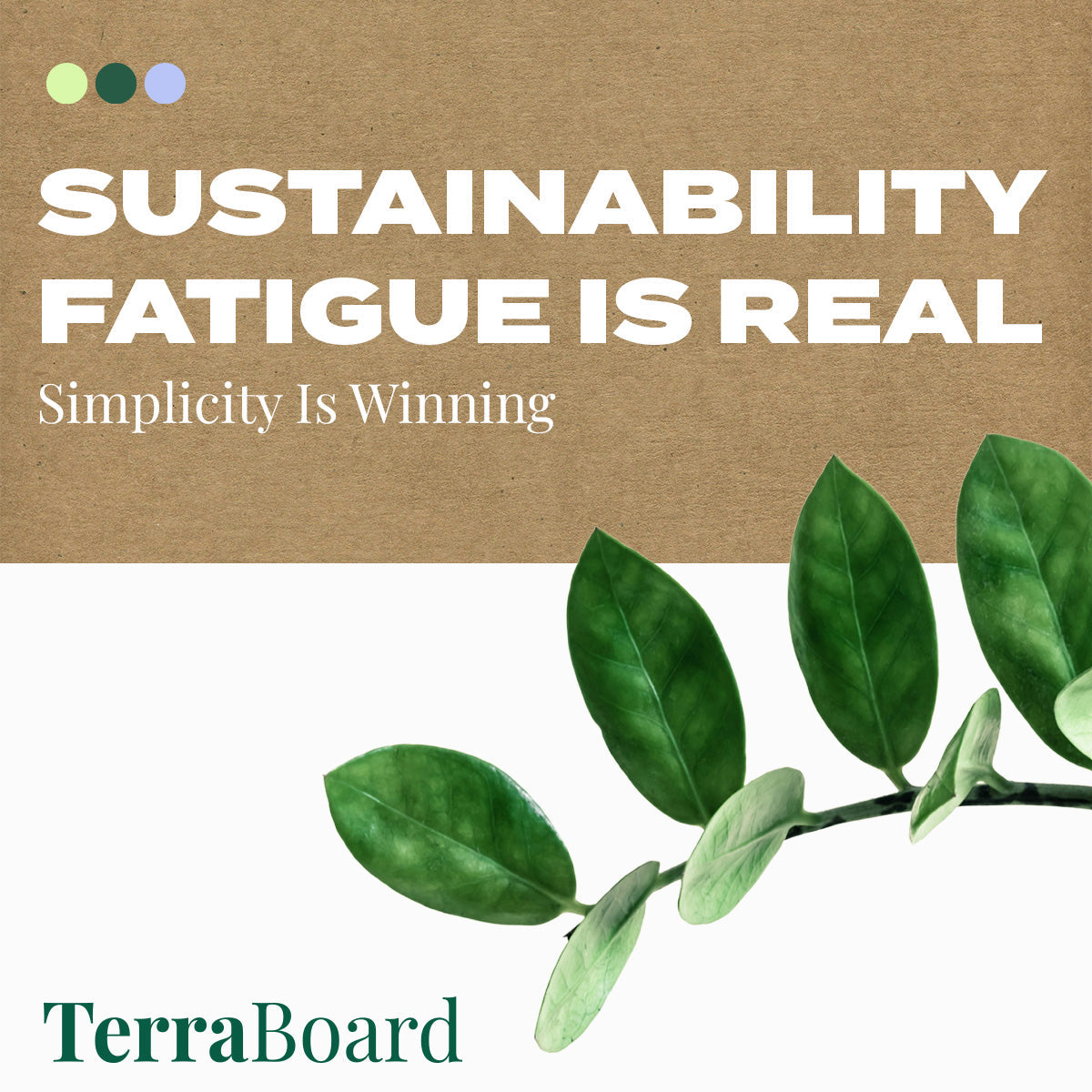 Sustainability Fatigue Is Real. Here’s Why Simple Packaging Choices Win in 2025
