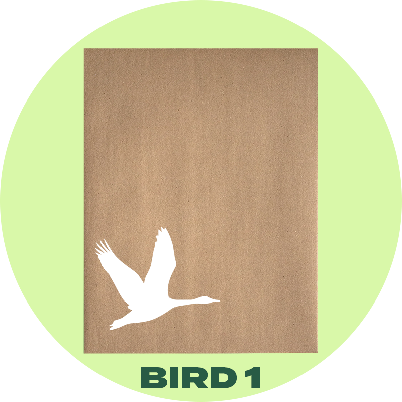 TerraPrint By TerraBoard® - Birds
