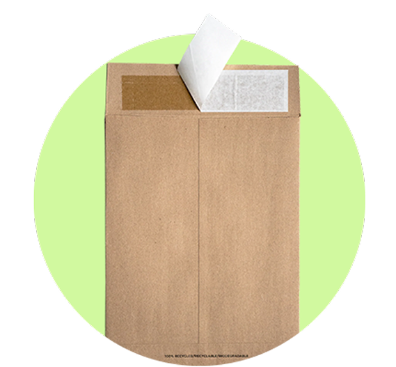 Flat Mailer 1.png__PID:ddde2210-da21-4de3-bb2b-f9d5e6f38fcb