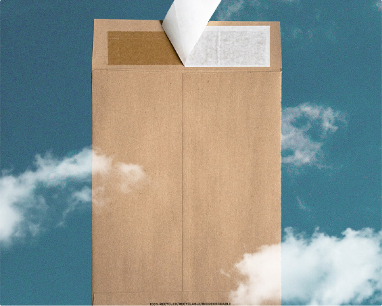 Shop All Mailers
