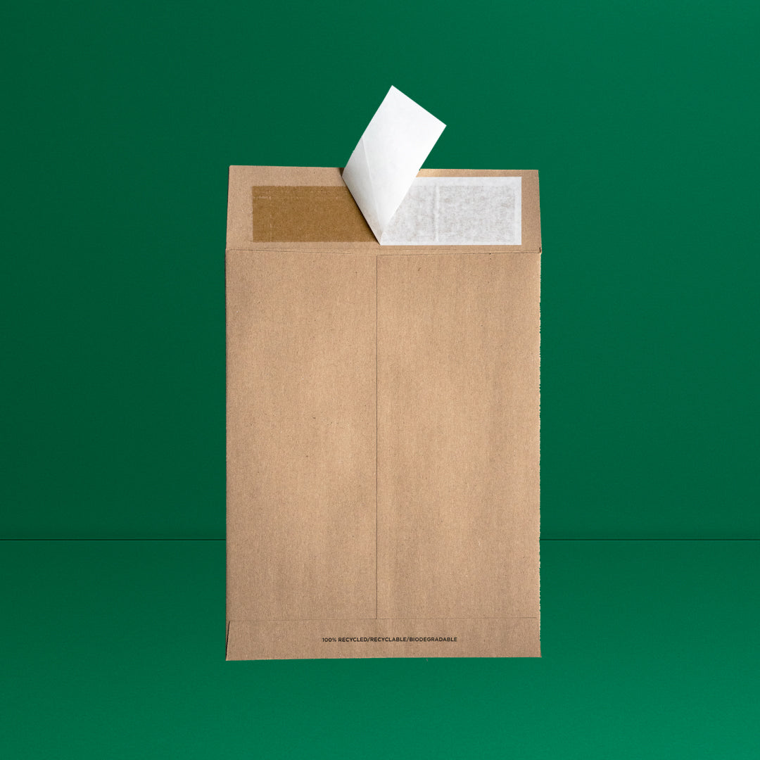 sample-green-bg.jpg__PID:796e320a-1b1e-4241-90d9-74fdcf7aa41d